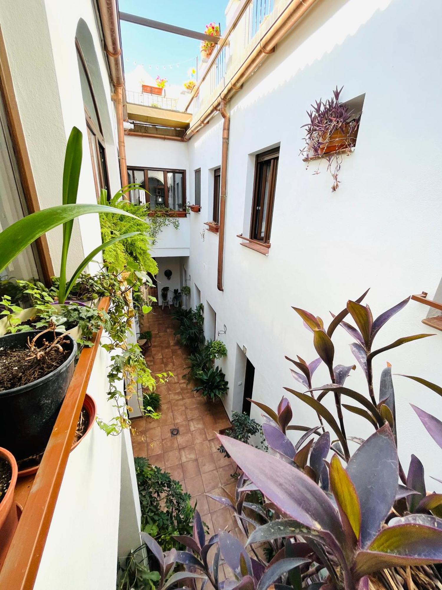 Apartamento Casa Turística San Agustín Córdoba Exterior foto